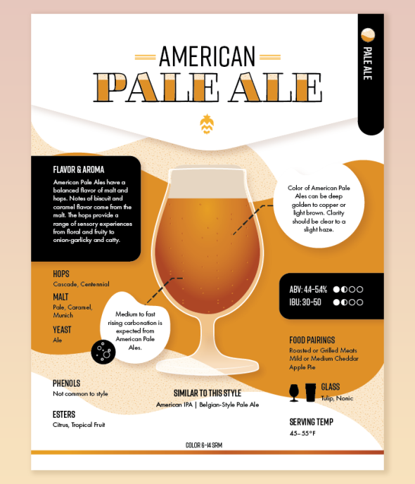 Beer Inographic - American Pale Ale american pale ale beer infographic